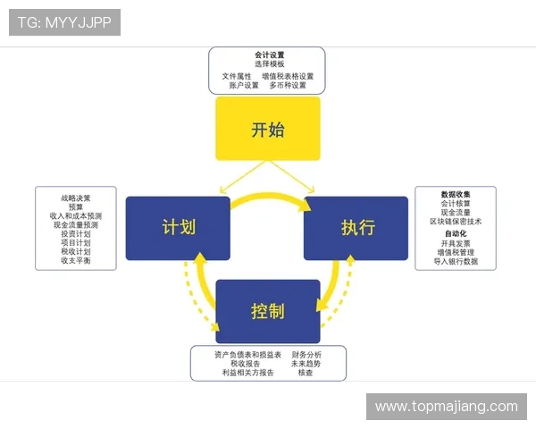 明珠国际的财务状况分析与未来盈利能力的预测与建议